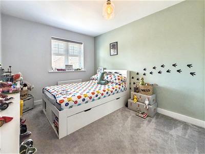 Picture 21